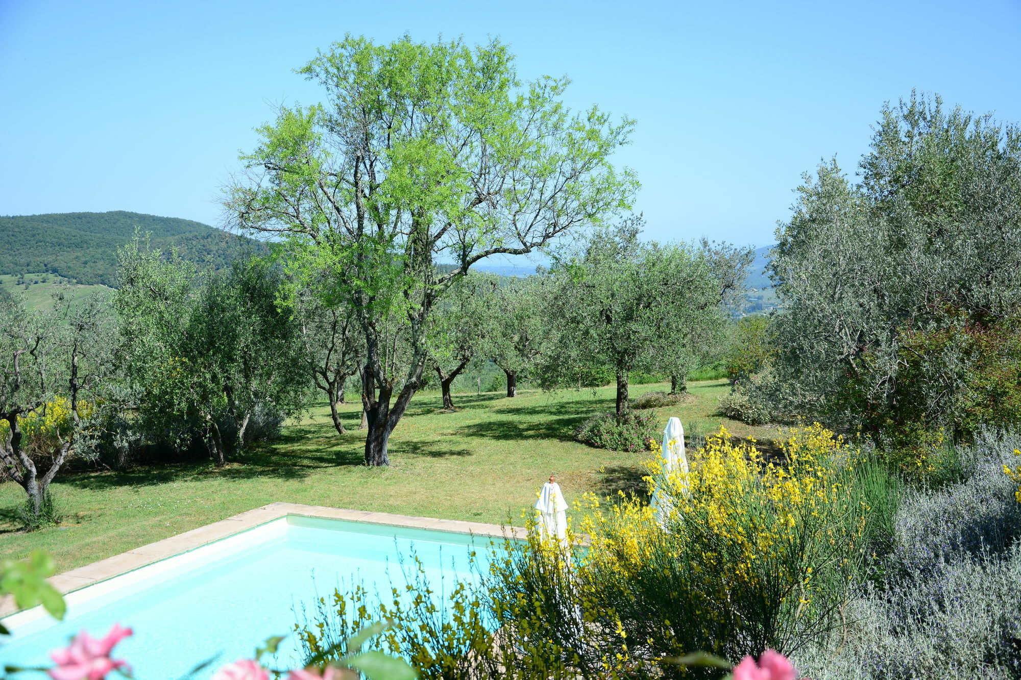 Relais Fattoria Valle Panzano in Chianti Exterior foto